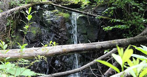 Northern Interior British Columbia: Secret Waterfall Houston British ...