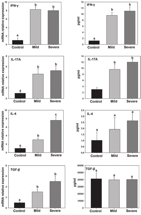 Relative Mrna And Protein Expression Levels Of A Ifn γ B Il 17a Download Scientific