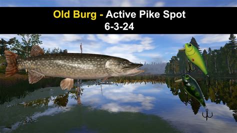 Russian Fishing Old Burg Active Pike Spot Youtube