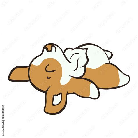 Welsh corgi dog breed vector illustration. Cute puppy lying down on ...