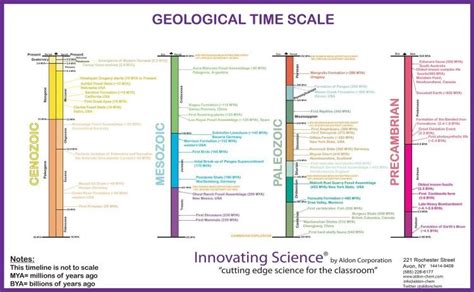 IS8750 Geological Time Scale Poster Major Evolutionary Events Visualized