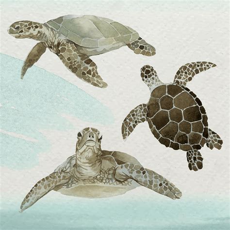 Watercolor Painted Sea Turtle Watercolor Premium Vector Illustration