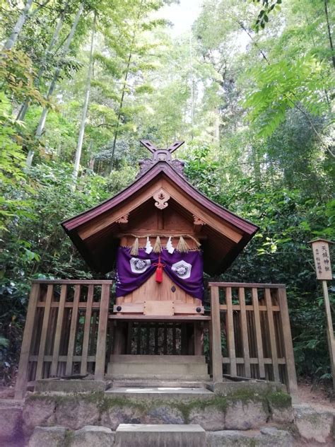 【229〆切】3月1日金曜日60日に一度の甲子の日のお参りツアー あなたと神さま＆神社のご縁繋ぎサポーター 神社ナビゲーターむっちゃん