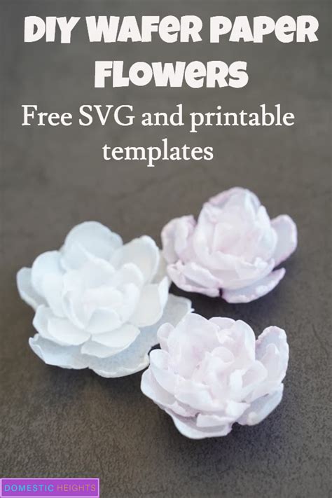 Wafer Paper Flowers Tutorial