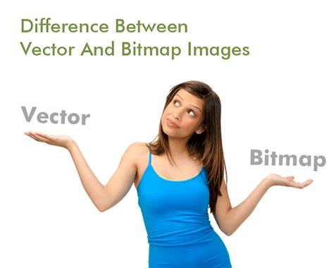 Difference Between Vector And Bitmap Images Vectorguru