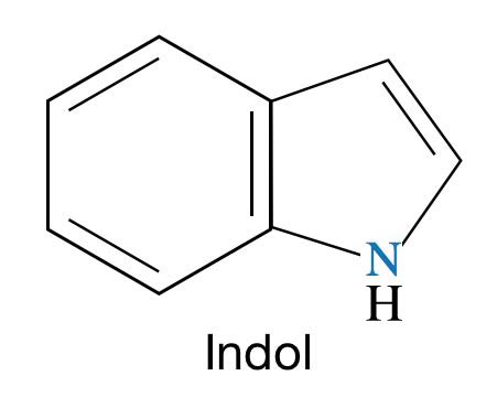 Indol