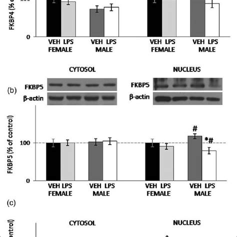 The Levels Of Fk Binding Protein Fkbp A And Fk Binding