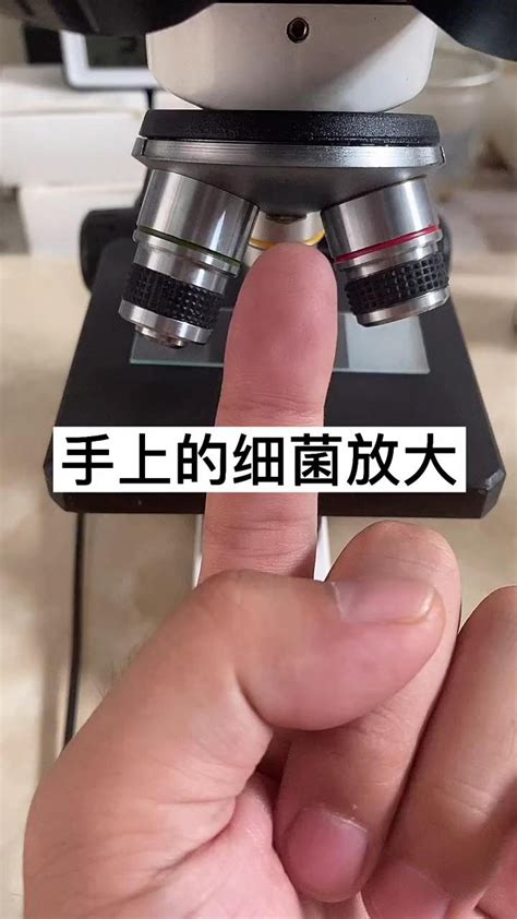 趣味实验：手上的细菌放大，小朋友别再啃手指了高清1080p在线观看平台腾讯视频