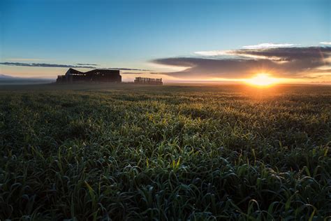 Sunrise on the farm by Lori McLellan