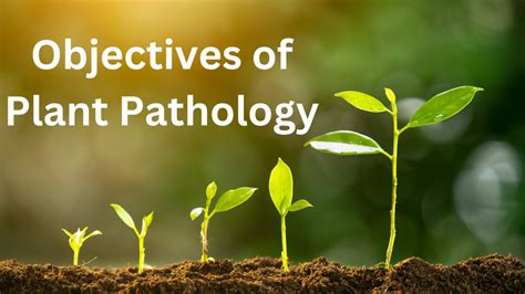 Objectives of Plant Pathology - Agri Study Pad