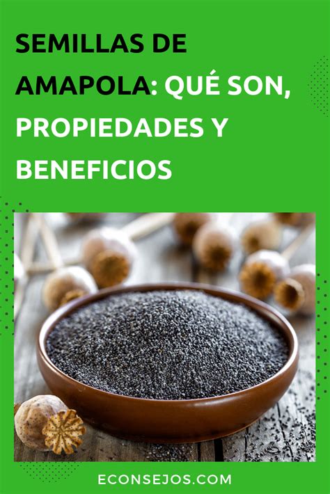 8 Beneficios Para La Salud De Las Semillas De Amapola Semillas De