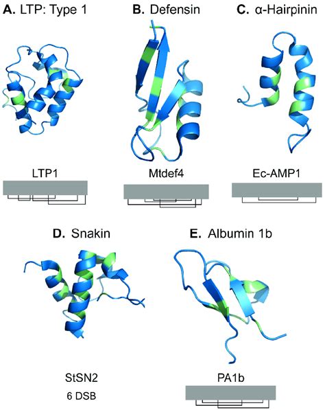 Plant Cysteine Rich Peptide Families Are Often Defined By Conserved