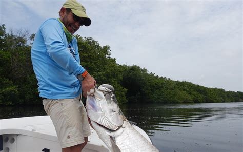 Testimonios · Fly Fishing Caribe