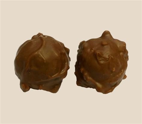 Rochers au chocolat lait fourrés praliné Sachet 250g Chocogil