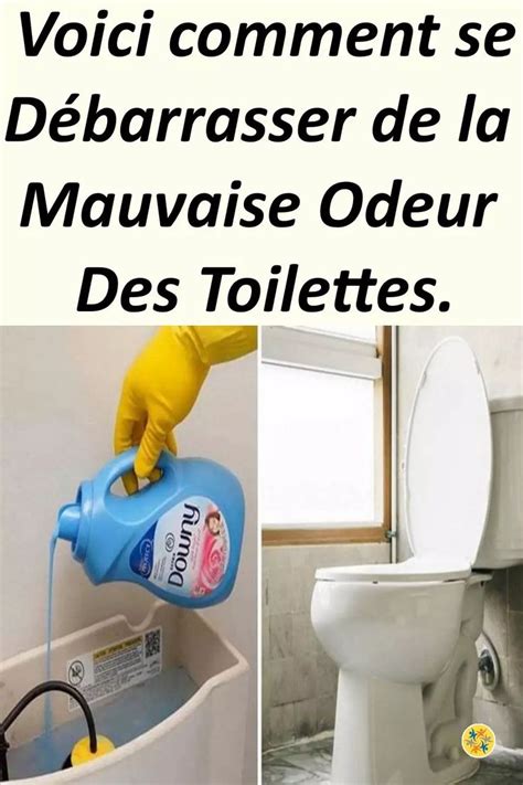 Mauvaises Odeurs Des Toilettes Versez De Ladoucissant Pour Les