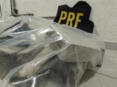 G Pol Cia Rodovi Ria Federal Apreende Quilos De Maconha Em Aruj