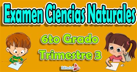 Examen De Ciencias Naturales 6 Grado Trimestre 3