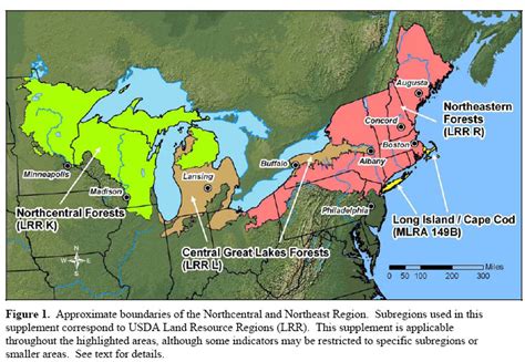 Regional Supplements Corps Of Engineers Wetland Delineation Manuals