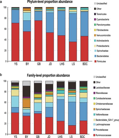 The Compositions Of Rhesus Macaques Gut Microbiota At A Phylum Level