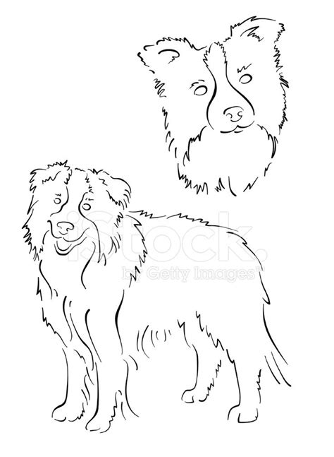 Border Collie Design Set Dog Drawing Simple Border Collie Art Dog