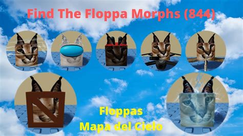 Como Conseguir Los Floppas Del Mapa Del Cielo Find The Floppa Morphs