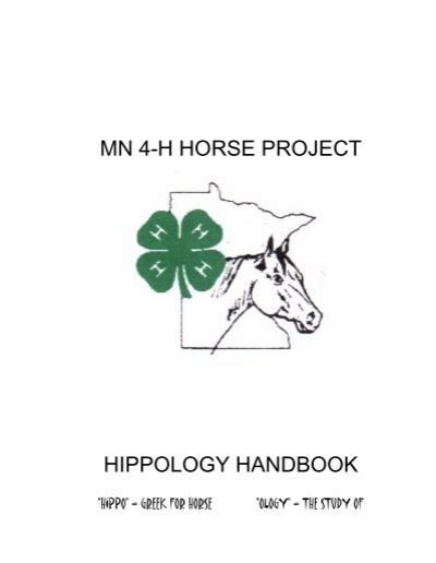 Mn 4 H Horse Project University Of Minnesota Extension