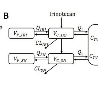 Individual Predictions Of Tumor Shrinkage With Oxaliplatin A And