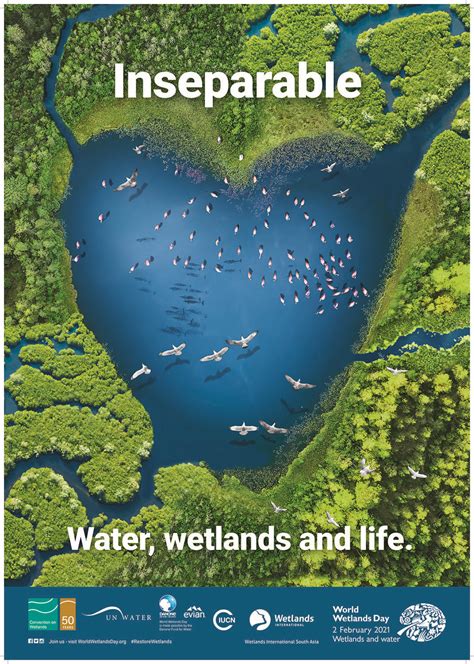 Join Us To Celebrate World Wetlands Day 2021 Wetlands International