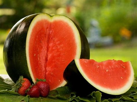 Heirloom Sugar Baby Watermelon Seeds Etsy