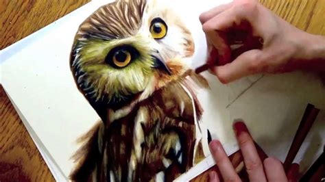 Realistic Drawing Of An Owl YouTube