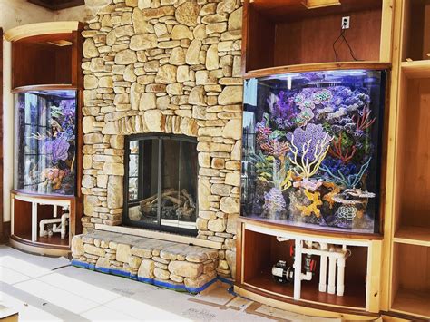 Custom Aquariums – Aquarium Artisans