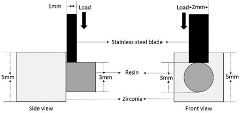 Schematic Views Of The Shear Bond Test Loading Configuration Download Scientific Diagram