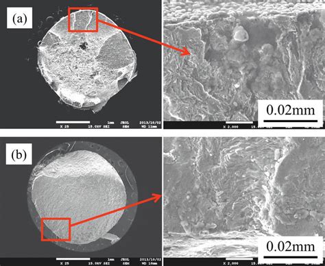 SEM Photomicrographs Of Fractured Surface Observed On Workpieces A