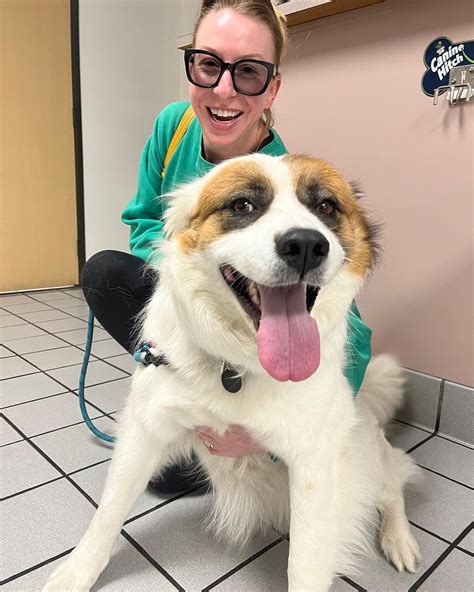 Glendale Small Animal Hospital