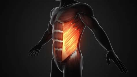 Pain Injury Chest Pectoralis Muscles Stock Photo by ©JitendraJadhav 680739196