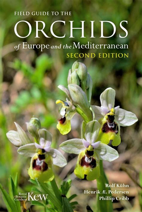 Field Guide To The Orchids Of Europe And The Mediterranean Nhbs Field