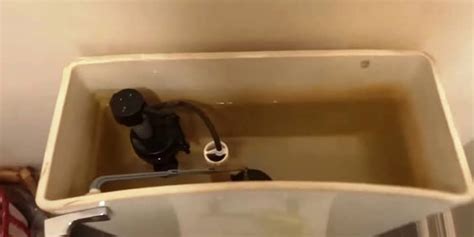 How To Adjust Water Level In Toilet Bowl Easy Fix