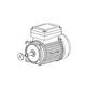 Hayward TEFC Threaded Motor 1HP 115 230 SPX2607Z1MTG