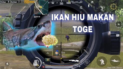 Ikan Hiu Makan Toge Ini Bukan Montage Pubg Mobile Indonesia Youtube