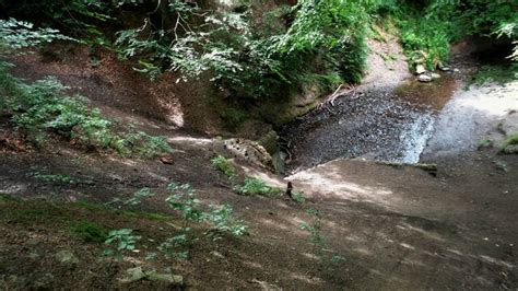 Culvert For Royds Hall Beck Kevin Waterhouse Cc By Sa 2 0 Geograph