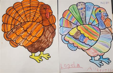 Turkey talk: Kids give tips for cooking Thanksgiving turkey - Brainerd ...