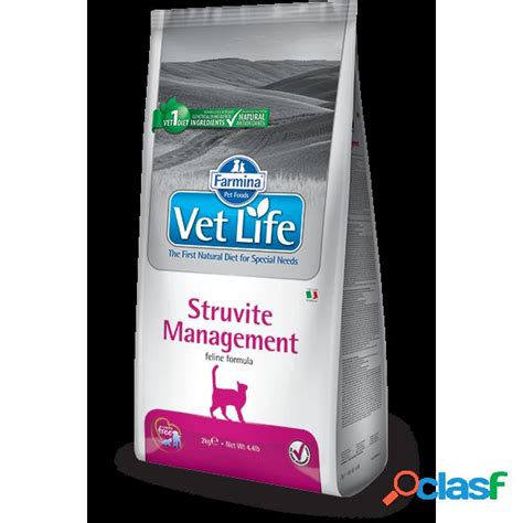 Farmina gatto vet life struvite management 【 ANIMALI Febbraio 】 | Clasf