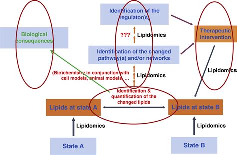 The Foundations And Development Of Lipidomics Journal Of Lipid Research