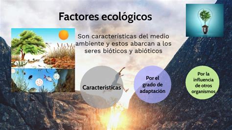 Factores Ecol Gicos By Diana Marisol Aucay Matute On Prezi