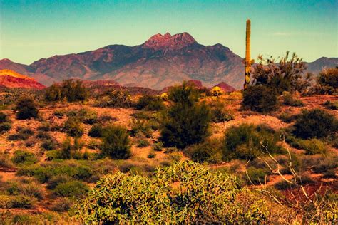 Free stock photo of arizona, desert