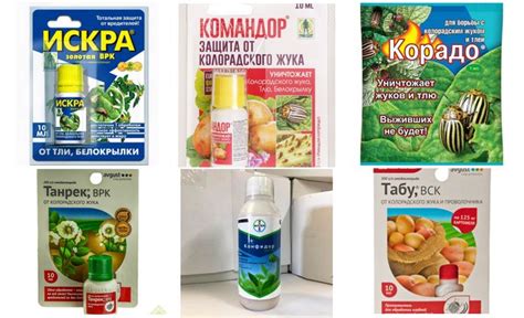 Кинмикс от вредителей: способ применения, плюсы и минусы