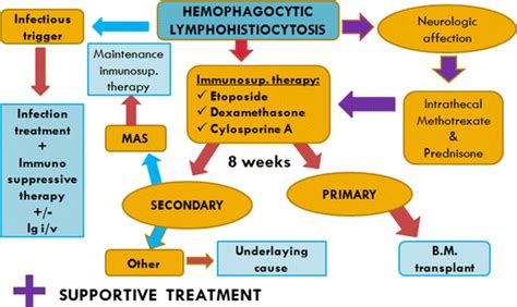 Hemophagocytic Lymphohistiocytosis A Review Inspired By 58 Off