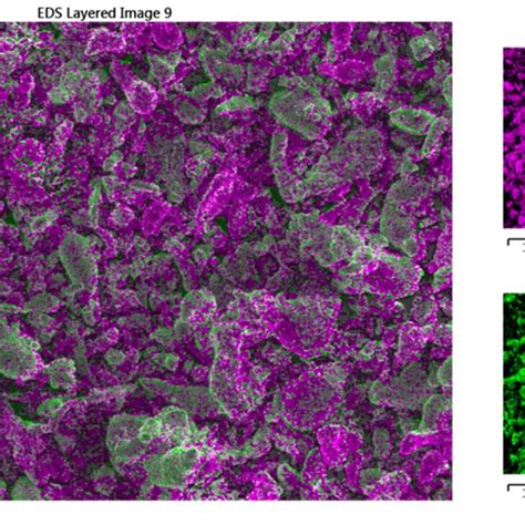 A Low Magnification And B High Magnification Sem Micrographs Of