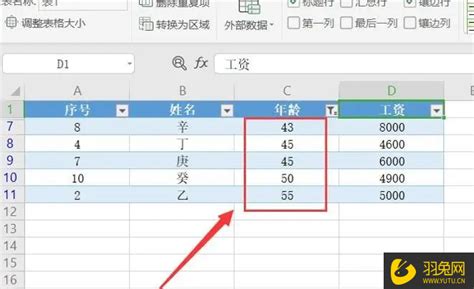 掌握这些技巧，让 Excel 数据处理更高效 羽兔网