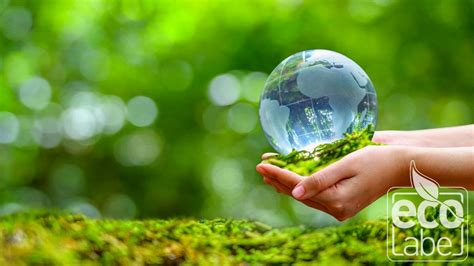 ECO LABEL ™ | Certyfikacja produktu ekologicznego